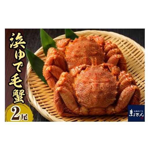 ふるさと納税 北海道 えりも町 えりも【マルデン厳選】浜ゆで毛がに約1.3kg(約650g×2尾）【...