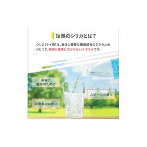 ふるさと納税 炭酸飲料 ソーダ水 鹿児島県 垂...の詳細画像4