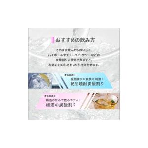 ふるさと納税 炭酸飲料 ソーダ水 鹿児島県 垂...の詳細画像5