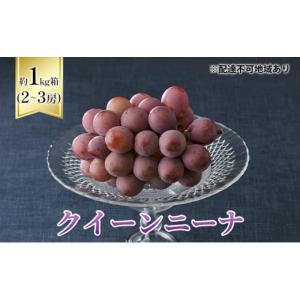 マイハート 希少品種 高級ぶどう 約1.2〜1.5kg 2房 山梨県産 非常に