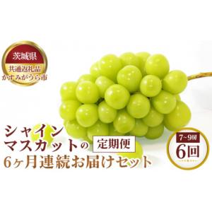 ふるさと納税 果物の詰合せ 茨城県 坂東市 先行予約 シャインマスカットの6ヶ月連続お届けセット　7〜9房×6回 茨城県共通返礼品 かすみがうら市 ／ 果物 葡…