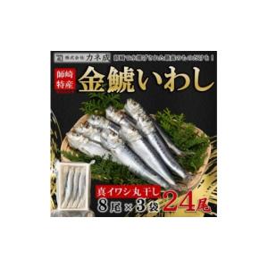 ふるさと納税 愛知県 南知多町 いわし 丸干し 24尾 ( 8...