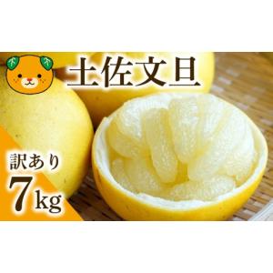 ふるさと納税 果物類 みかん 愛媛県 愛南町 チ...の商品画像