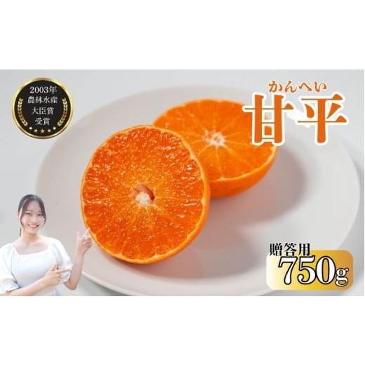 ふるさと納税 果物類 みかん 愛媛県 愛南町 数量限定 贈答用 甘平 約750g みかん 蜜柑 柑橘...