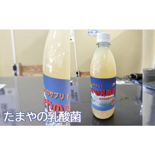 ふるさと納税 東京都 羽村市 No.096 たまやの乳酸菌　500ml ／ 液体エサ 小型淡水魚用 ...