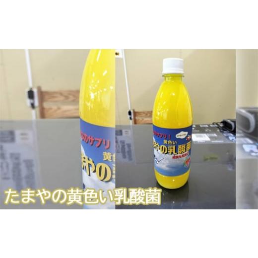 ふるさと納税 東京都 羽村市 No.097 たまやの黄色い乳酸菌　500ml ／ 液体エサ 冬用 ビ...