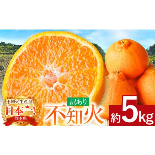 ふるさと納税 みかん・柑橘類 デコポン 熊本県 玉名市 ご家庭用 不知火 約5kg | 果物 フル...