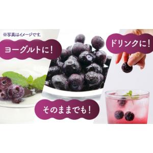 ふるさと納税 果物類 熊本県 山鹿市 12回定...の詳細画像3