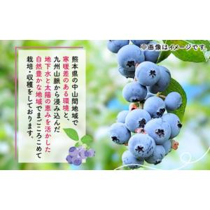 ふるさと納税 果物類 熊本県 山鹿市 12回定...の詳細画像5