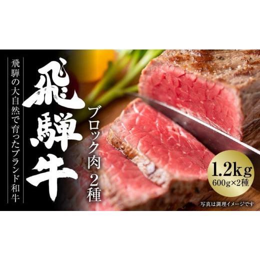 ふるさと納税 岐阜県 高山市 飛騨牛 ブロック肉[塊]  (霜降り ／ 赤身 2種 牛肉 計1.2k...