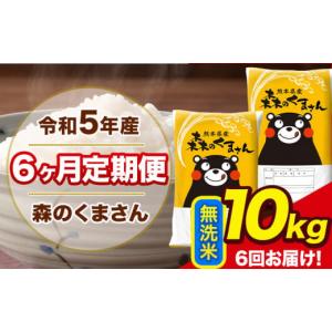 ふるさと納税 熊本県 荒尾市 令和5年産 無洗米【6ヶ月定期便】 森のくまさん10kg (5kg×2袋) 計6.お届け 無洗米 熊本県産（荒尾市産含む） 単一原料米 森くま …