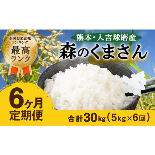 ふるさと納税 熊本県 人吉市 【6ヶ月定期便】熊本・人吉球磨産 森のくまさん 5kg