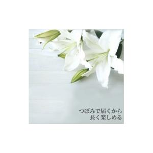 ふるさと納税 花・苗木 花束 神奈川県 小田原...の詳細画像2