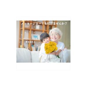ふるさと納税 花・苗木 花束 神奈川県 小田原...の詳細画像3