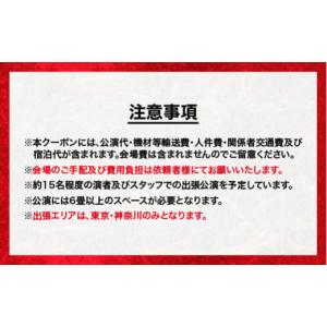 ふるさと納税 伝統技術 島根県 江津市 神楽衣...の詳細画像4