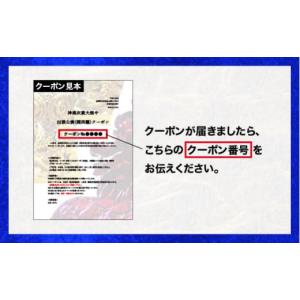 ふるさと納税 伝統技術 島根県 江津市 神楽衣...の詳細画像3