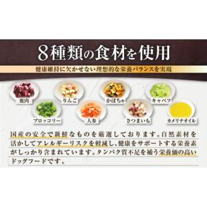 ふるさと納税 加工品等 北海道 苫小牧市 Ca...の詳細画像5
