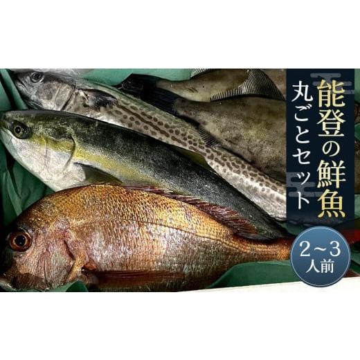 ふるさと納税 石川県 能登町 【復興支援】能登の鮮魚丸ごとセット【2〜3人前】