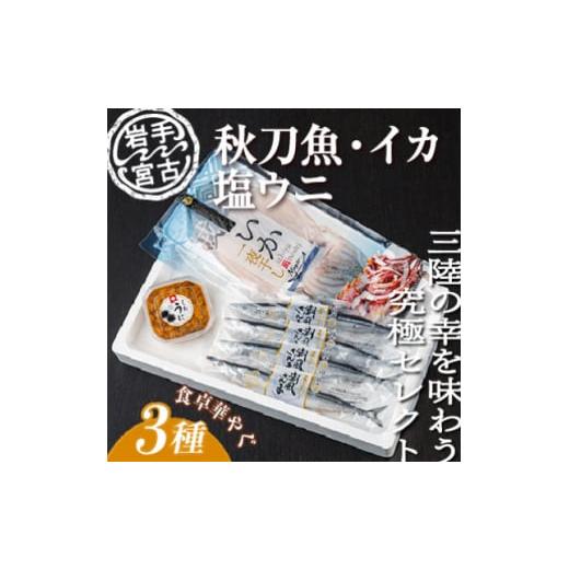 ふるさと納税 岩手県 宮古市 いか一夜干し1p・潮風さんま4本・塩うに1ケ　3種セット【146293...