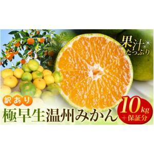 ふるさと納税 三重県 紀宝町 【先行予約】＼ たっぷり大容量 ／  訳あり 極早生温州みかん 10kg＋傷み保証分400g 2S〜3Lサイズおまかせ 【2024年9月下旬から10…｜ふるさとチョイス