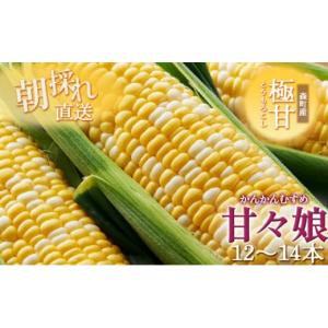 ふるさと納税 とうもろこし 北海道 千歳市 フジテレビ『どっちの ふるさと納税 とうもろこし 北海道 千歳市 フジテレビ『どっちの