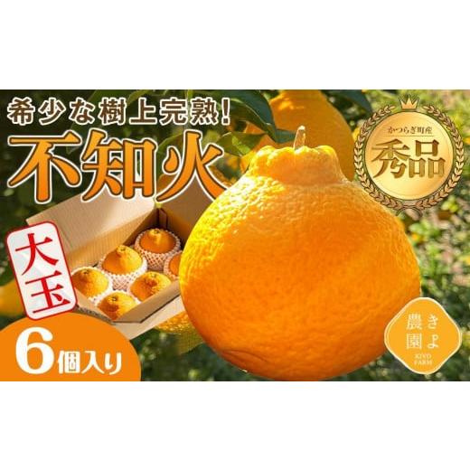 ふるさと納税 みかん・柑橘類 デコポン 和歌山県 高野町 不知火 希少な樹上完熟 秀品大玉 6個入 ...