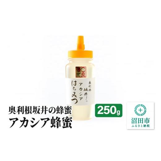 ふるさと納税 加工品等 はちみつ 群馬県 沼田市 奥利根坂井のアカシアはちみつ 250g×1本 坂井...