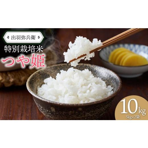 ふるさと納税 米 つや姫 山形県 鶴岡市 令和6年産 特別栽培米つや姫白米 5kg×2袋 計10k...