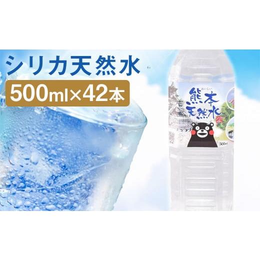 ふるさと納税 熊本県 菊池市 シリカ天然水 500ml×42本