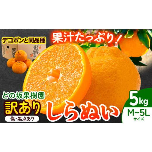 ふるさと納税 みかん・柑橘類 デコポン 和歌山県 日高町 訳あり 不知火 ( デコポンと同品種 ) ...