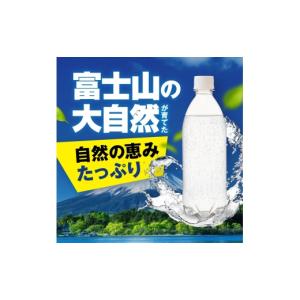 ふるさと納税 炭酸飲料 静岡県 裾野市 炭酸水...の詳細画像5