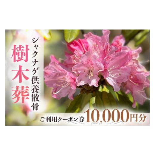 ふるさと納税 茨城県 笠間市 自然供養のカンシャ 樹木葬　シャクナゲ供養散骨　ご利用クーポン券 10...