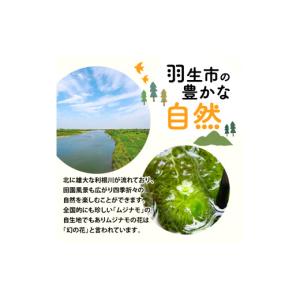 ふるさと納税 石鹸 液体せっけん 埼玉県 羽生...の詳細画像3
