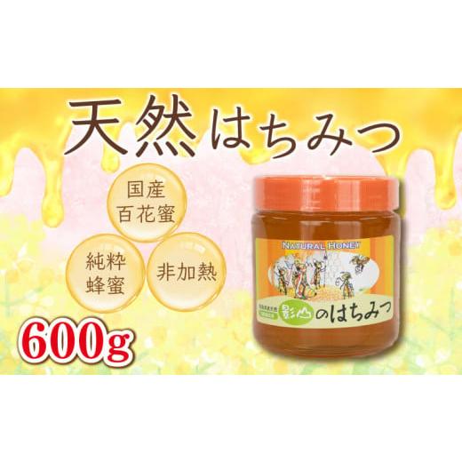 ふるさと納税 徳島県 阿波市 【8月発送】 はちみつ 国産 600g 非加熱 瓶入り 百花蜜 百花蜂...