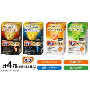 ふるさと納税 京都市 【渡辺】薬用炭酸入浴剤 ロイヤル命潤 30包|京都