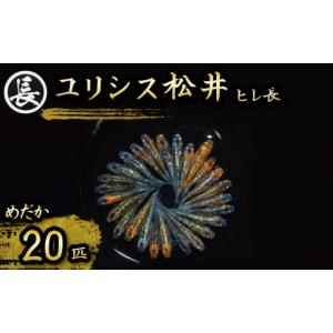 ふるさと納税 生き物 静岡県 牧之原市 129-...の商品画像