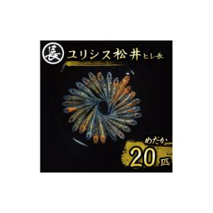 ふるさと納税 生き物 静岡県 牧之原市 129...の詳細画像1