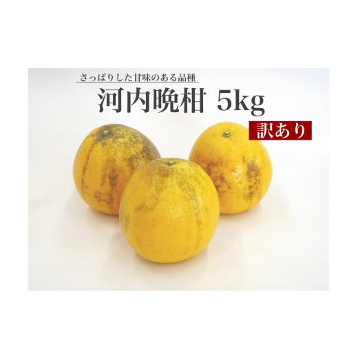 ふるさと納税 愛媛県 - 【2024年4月上旬より順次発送】訳あり 河内晩柑 5kg【えひめの町（超...