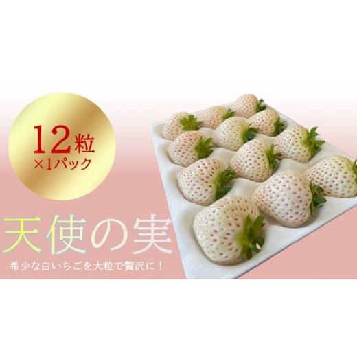 ふるさと納税 千葉県 四街道市 シエルファーム 大粒 白いちご 12粒 天使の実 ／ 高級 いちご ...