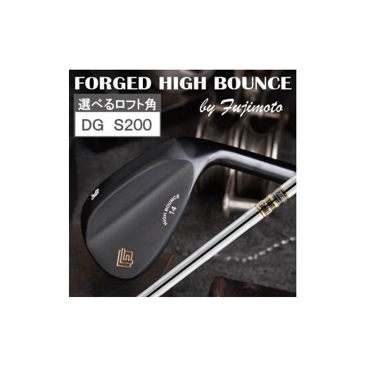 ふるさと納税 兵庫県 市川町 060BE11N.FG HIGH BOUNCE WEDGE（DG S2...