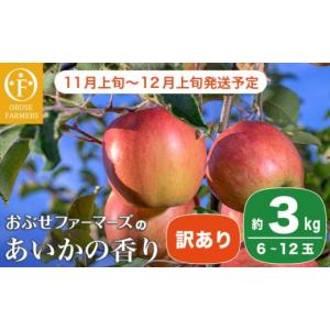 ふるさと納税 長野県 小布施町 【訳あり】あいかの香り 約3kg 6〜12玉 ［おぶせファーマーズ］フルーツ 果物 林檎 リンゴ 長野県産 信州産 加工 傷 キズ 不揃…｜ふるさとチョイス