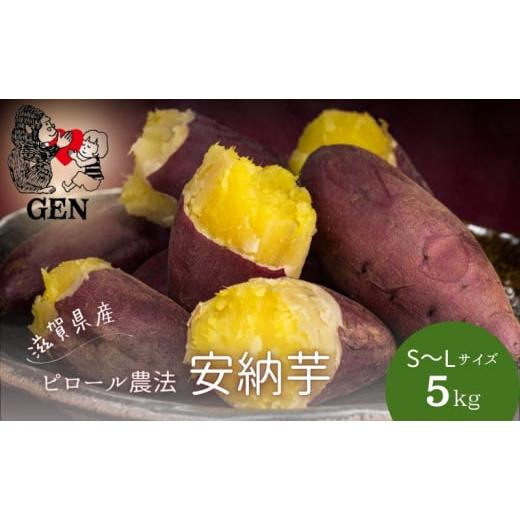 ふるさと納税 野菜類 サツマイモ 滋賀県 甲良町 GENの熟成 安納芋 (生芋)S〜Lサイズ 5kg...