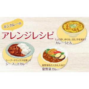 ふるさと納税 加工品等 レトルト 徳島県 徳島...の詳細画像4