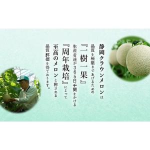 ふるさと納税 メロン 静岡県 掛川市 毎月定期...の詳細画像2