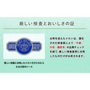 ふるさと納税 メロン 静岡県 掛川市 毎月定期...の詳細画像3