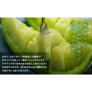 ふるさと納税 メロン 静岡県 掛川市 毎月定期...の詳細画像4
