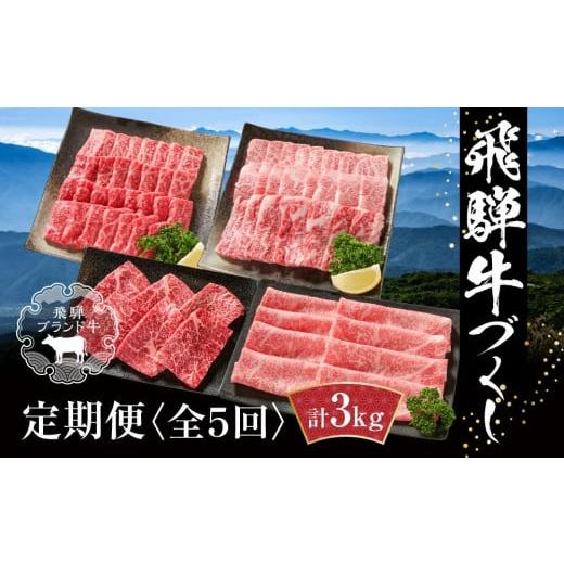 ふるさと納税 牛肉 ロース 岐阜県 高山市  定期便 飛騨牛 全５回（焼肉・すき焼き・ステーキ）計3...