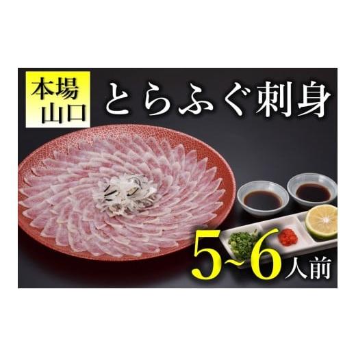 ふるさと納税 フグ 山口県 長門市 とらふぐ 刺身 5-6人前　冷凍 ふぐ刺身 ふぐ刺し ふぐ 刺身...