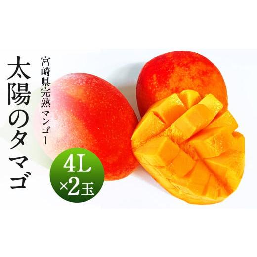 ふるさと納税 宮崎県 高鍋町 ＜宮崎県 完熟マンゴー【太陽のタマゴ】4L×2玉 1kg＞2024年4...