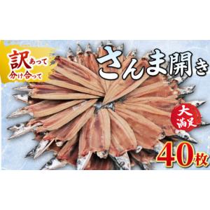 ふるさと納税 魚貝類 さんま 千葉県 銚子市 訳あり さんま開き 40枚 一枚約65g〜80g 食べきりサイズ さんま サンマ 秋刀魚 大容量 訳あって 分け合って 規格外…
